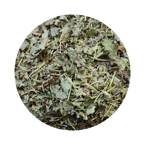 TISANE HEPATIQUE 1 ◆ BIO