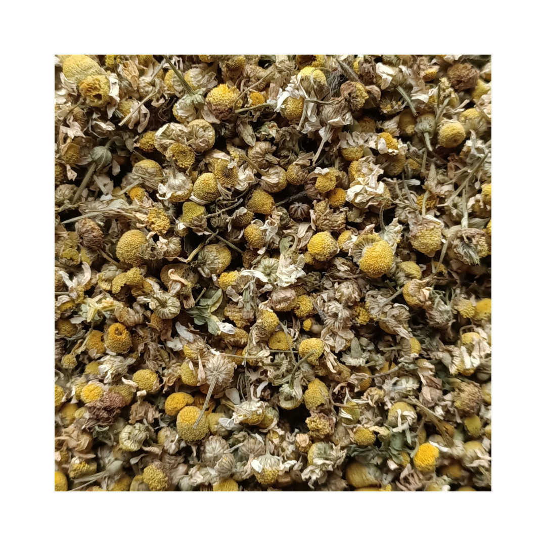 CAMOMILLE MATRICAIRE (ALLEMANDE) BIO ◆ CAPITULE FLORAL