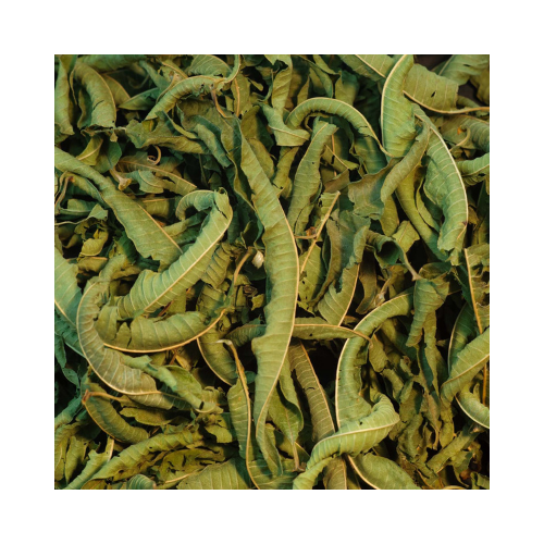 VERVEINE CITRONNÉE BIO GRANDE FEUILLE