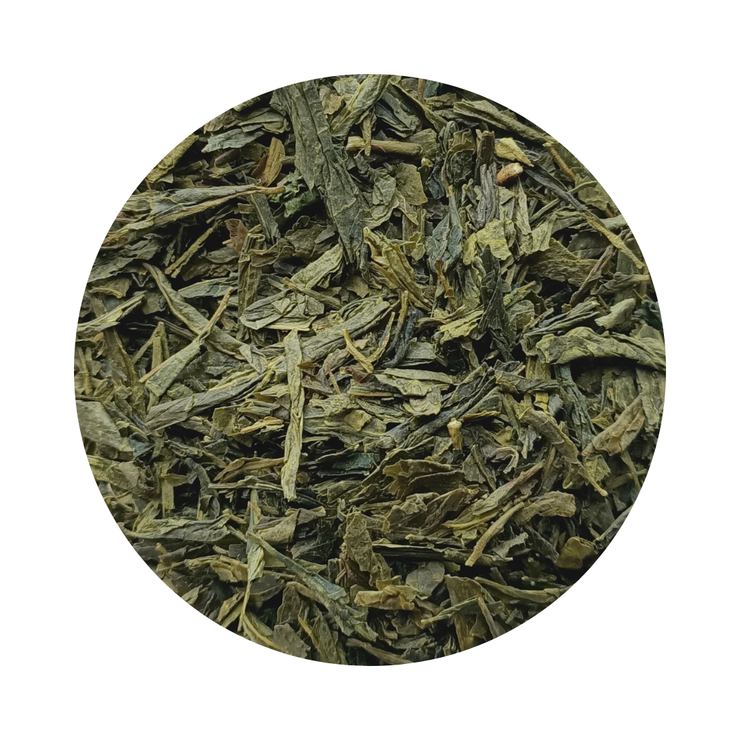 THÉ VERT SENCHA ◆ BIO